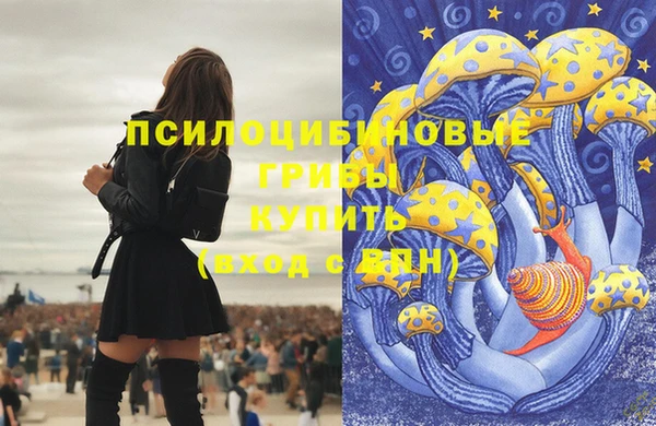 марки nbome Белокуриха