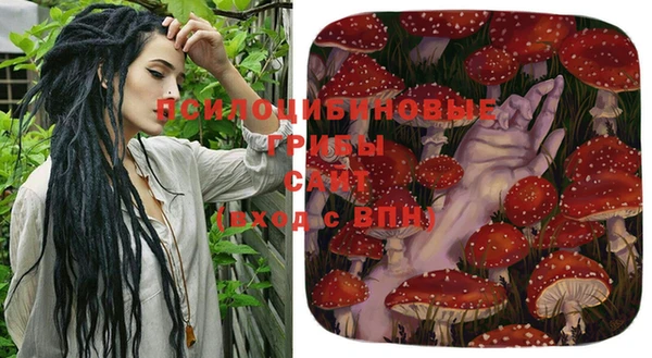 сатива Балабаново
