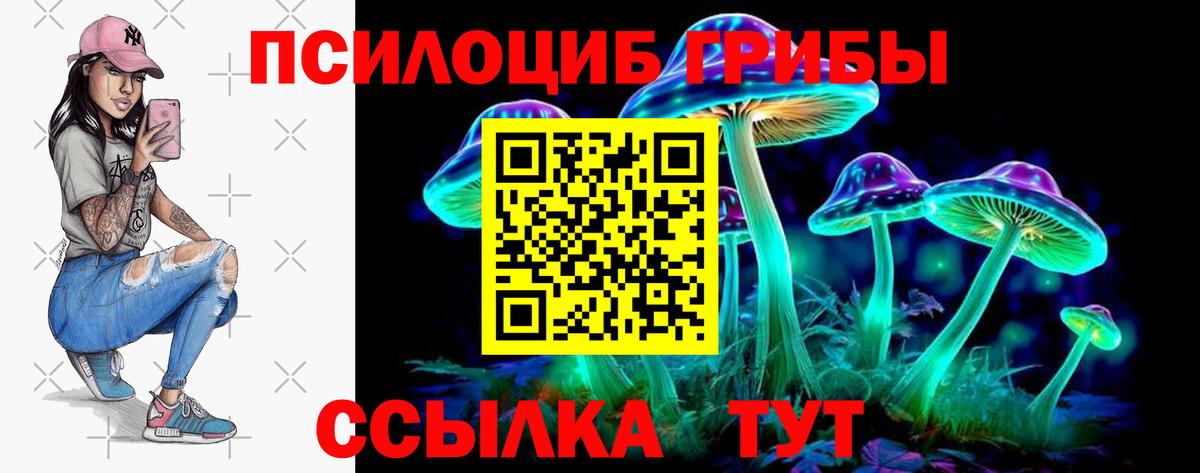 Калуга  наркошоп  Вход с VPN  Псилоцибиновые грибы мицелий  Псилоцибиновые грибы мицелий 